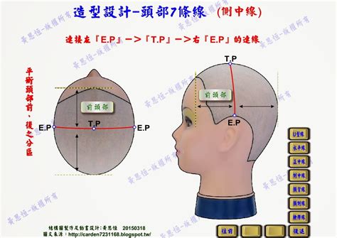 頭部七條基準線中，側頭線是